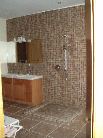 remodeled bathrooms photos